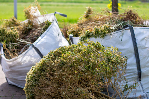 Attic Cleanout Services in Dermott, AR